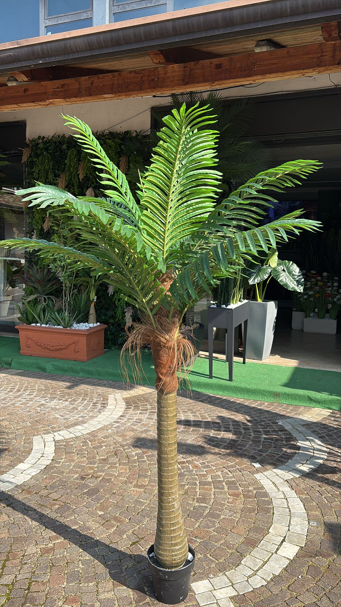 Palma Artificiale 180 cm in PE Realistica