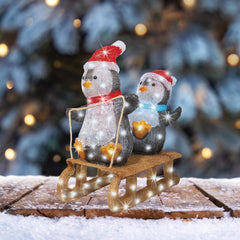 Pinguino LED in acrilico 56,5 cm da esterno - immagine 4