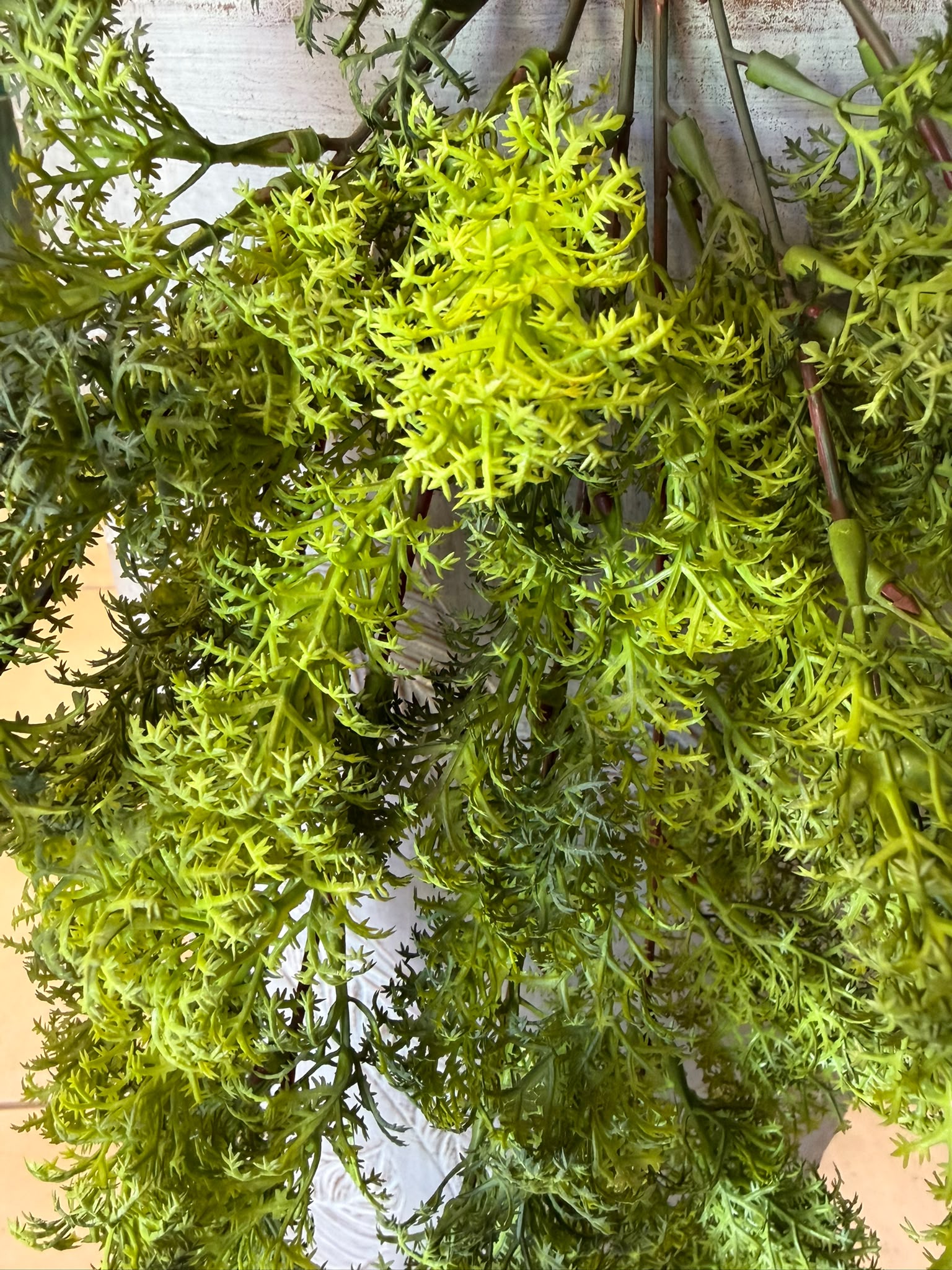 Ramo Pendente di Asparagina Artificiale 60 cm