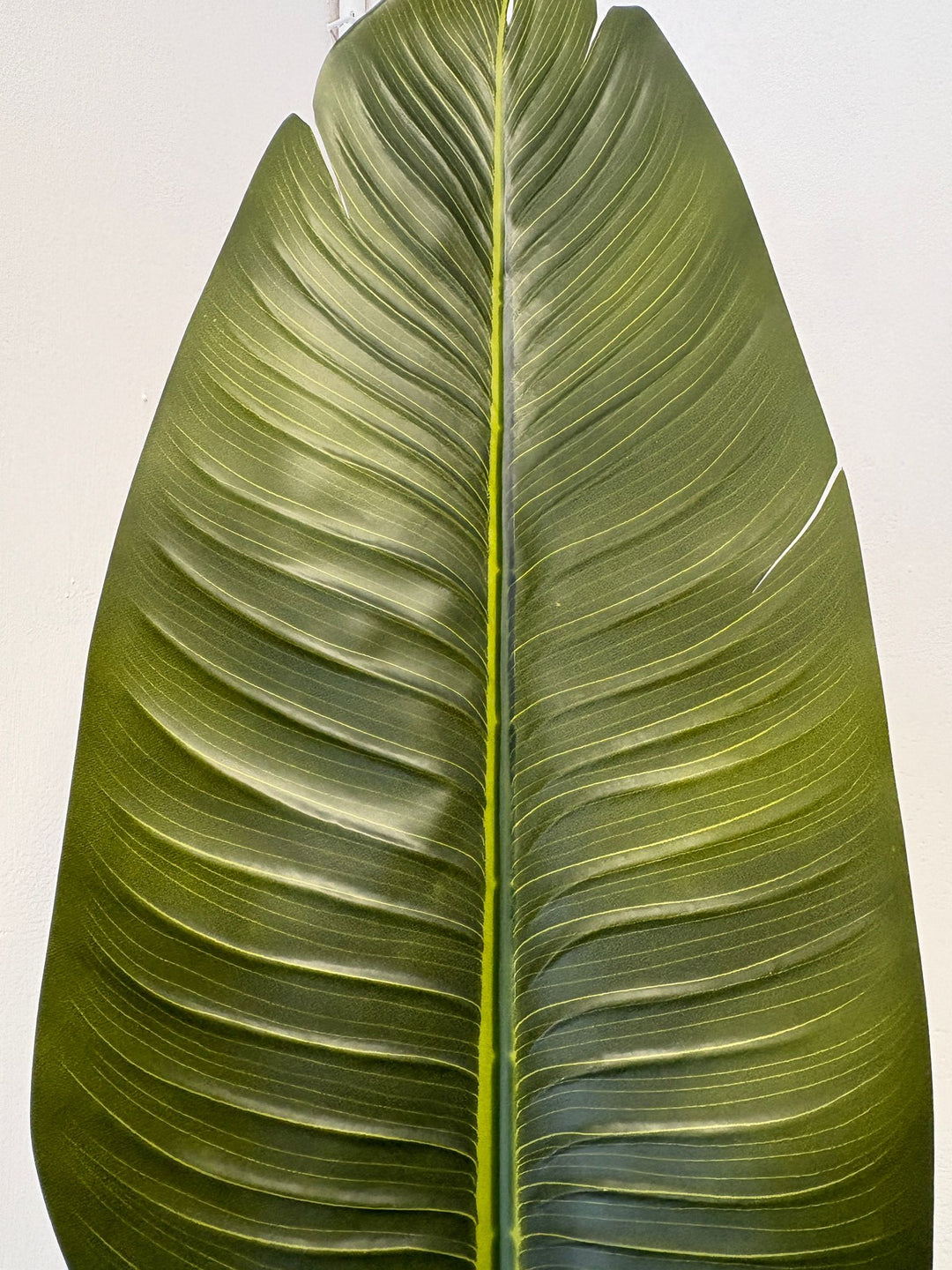 Strelizia Artificiale Realistica – 180 cm cod. LY44081