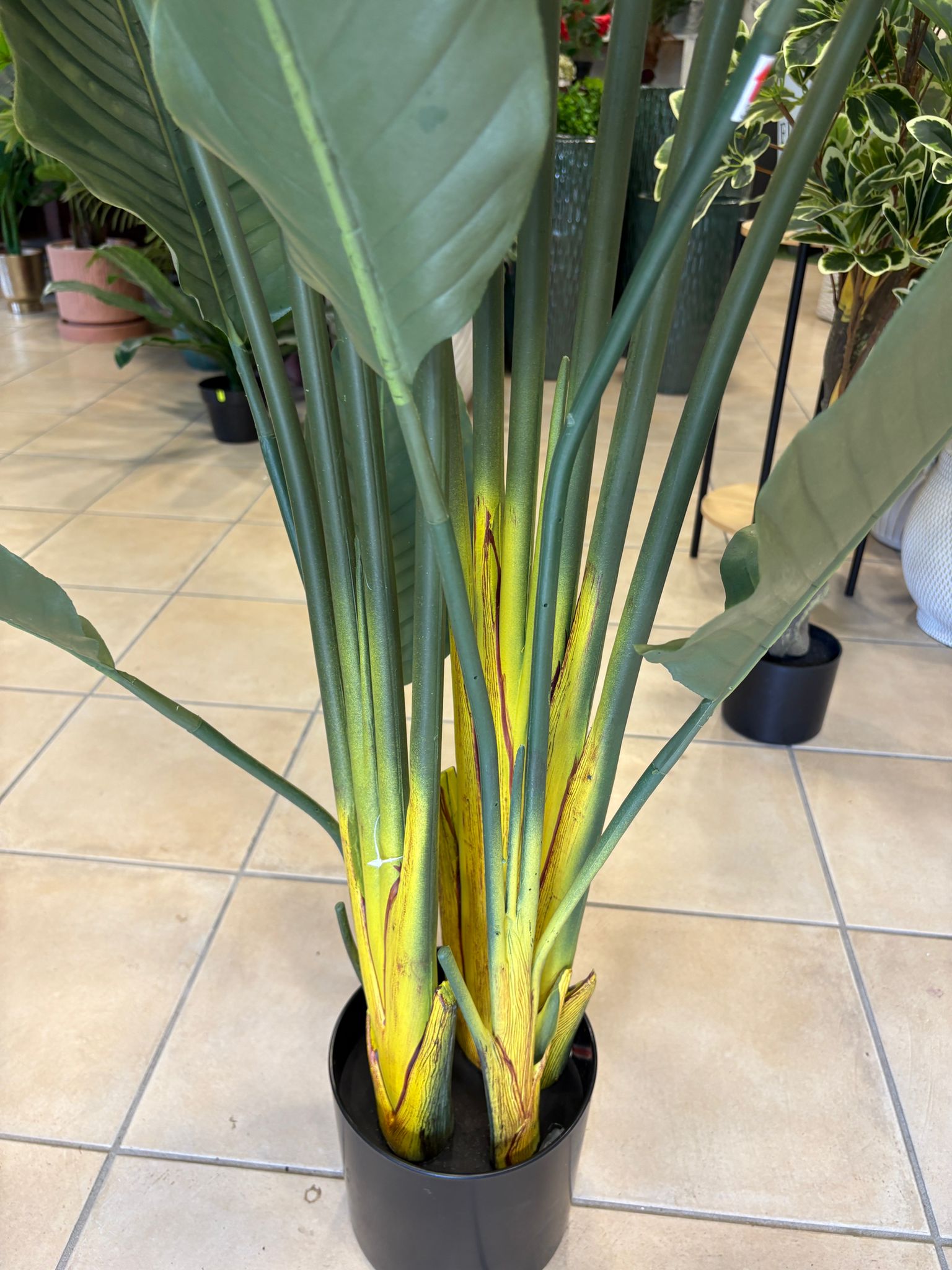 Strelizia Artificiale 180 cm