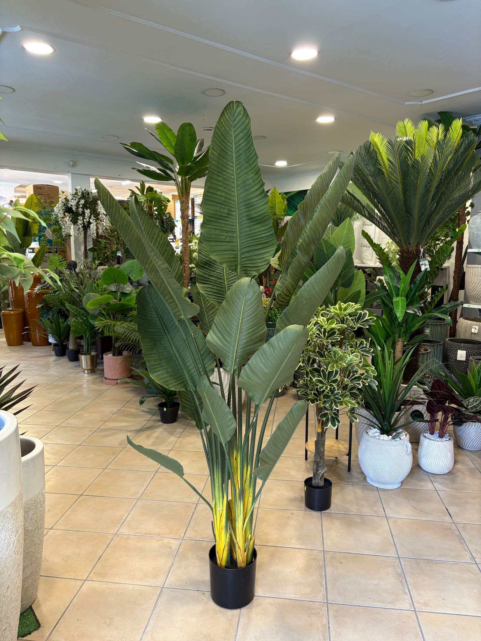 Strelizia Artificiale 180 cm