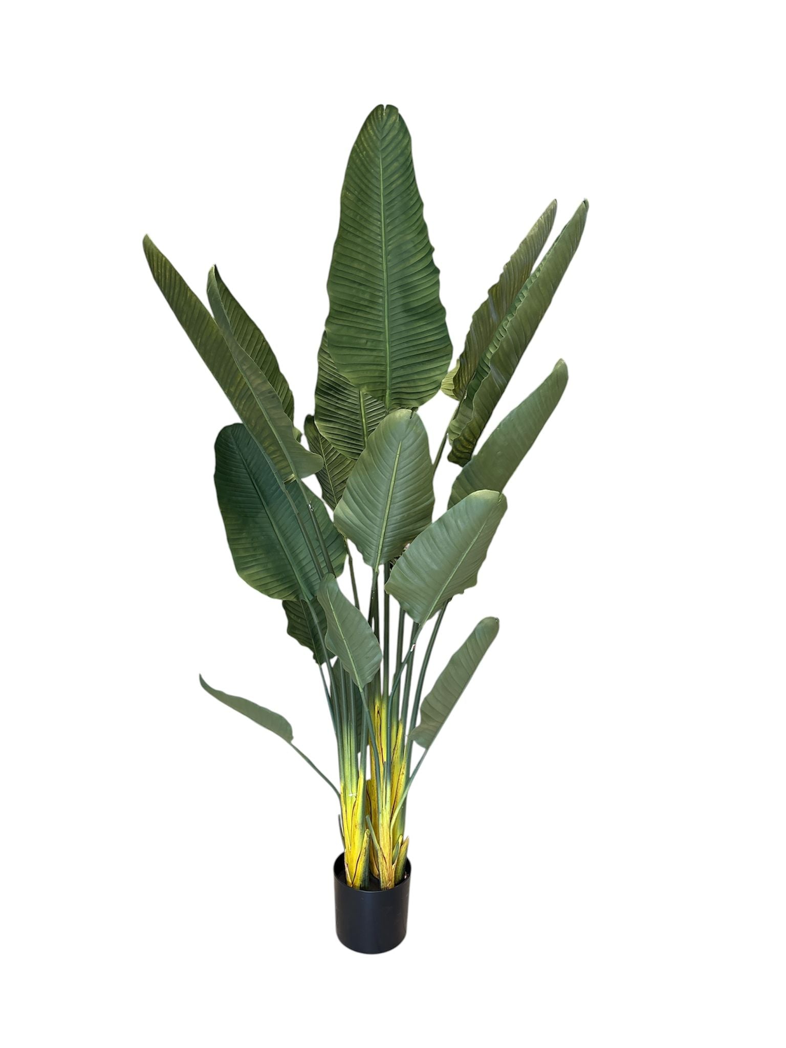 Strelizia Artificiale 180 cm
