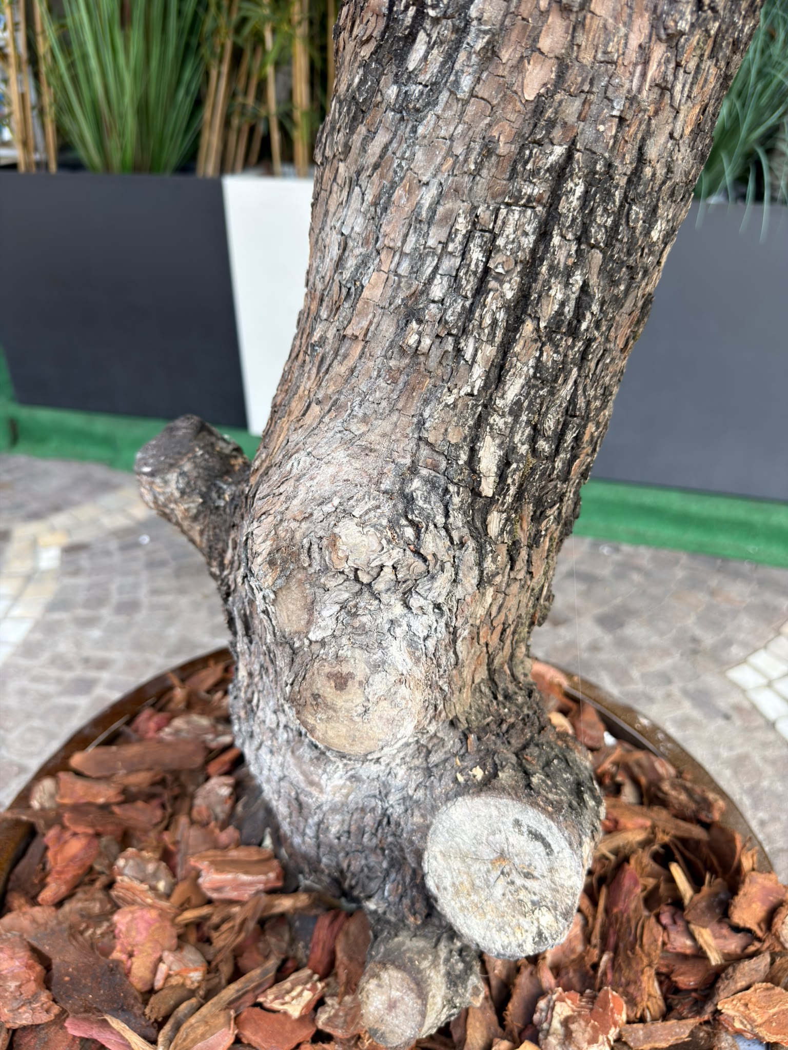 Ulivo Artificiale Alto 220 cm
