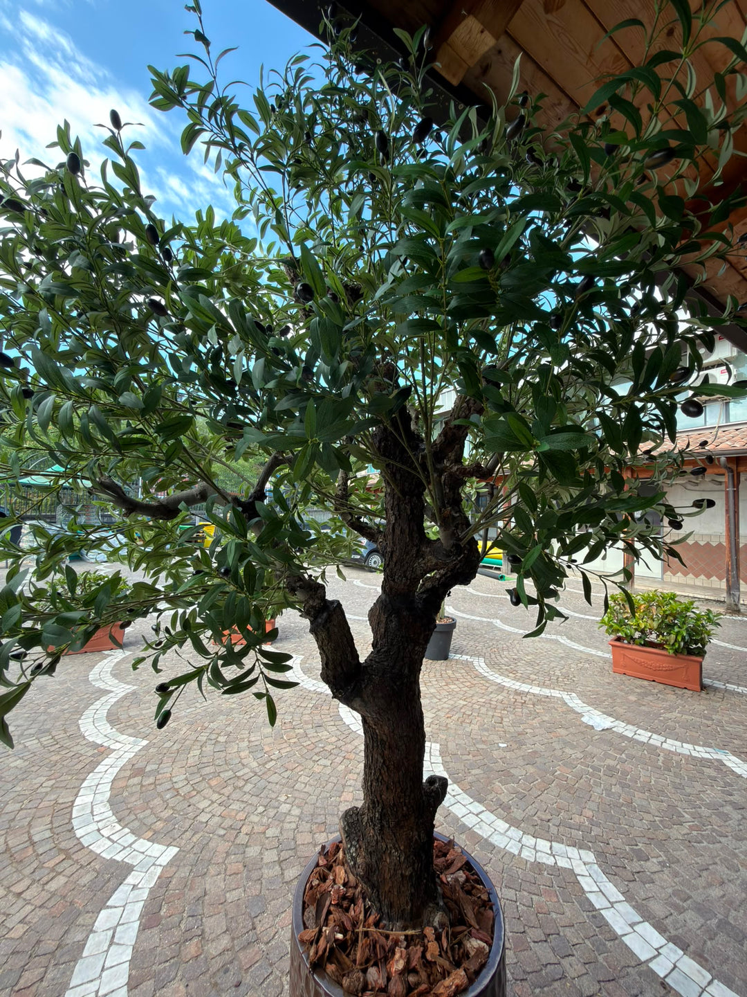 Ulivo Artificiale Realistico 180 cm