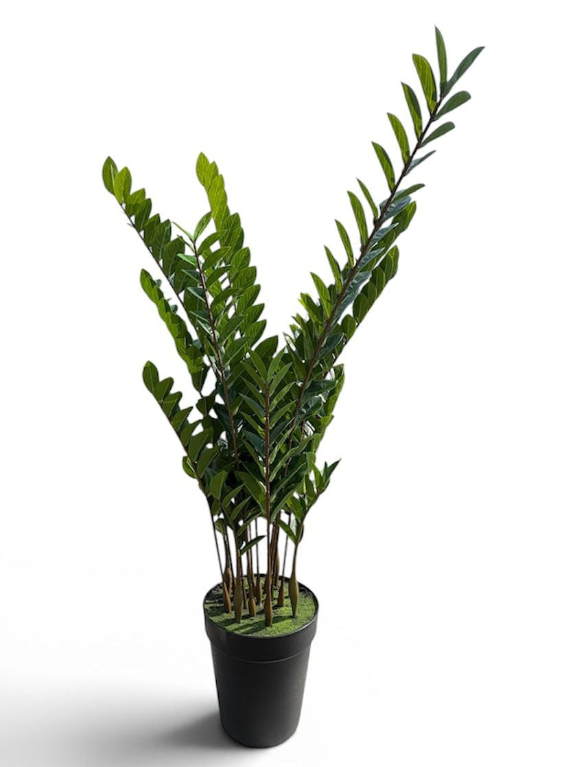 Zamiifolia Artificiale 135 cm